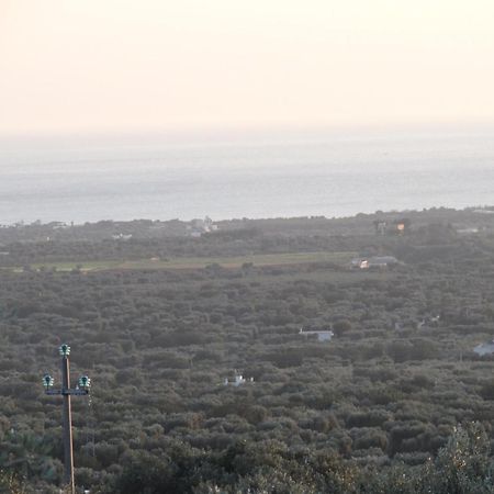 Bed And Breakfast La Casetta Monopoli Bagian luar foto
