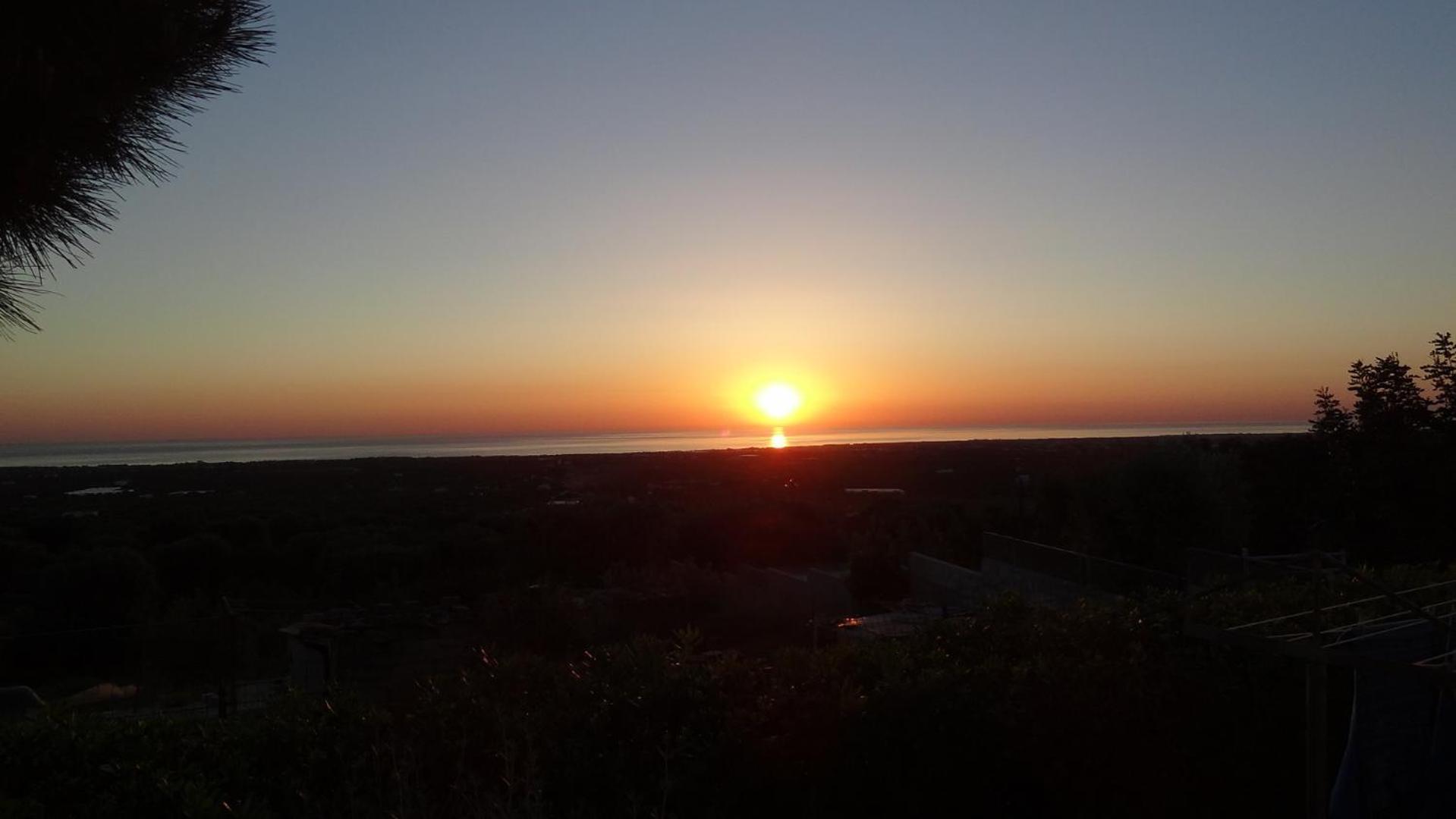 Bed And Breakfast La Casetta Monopoli Bagian luar foto