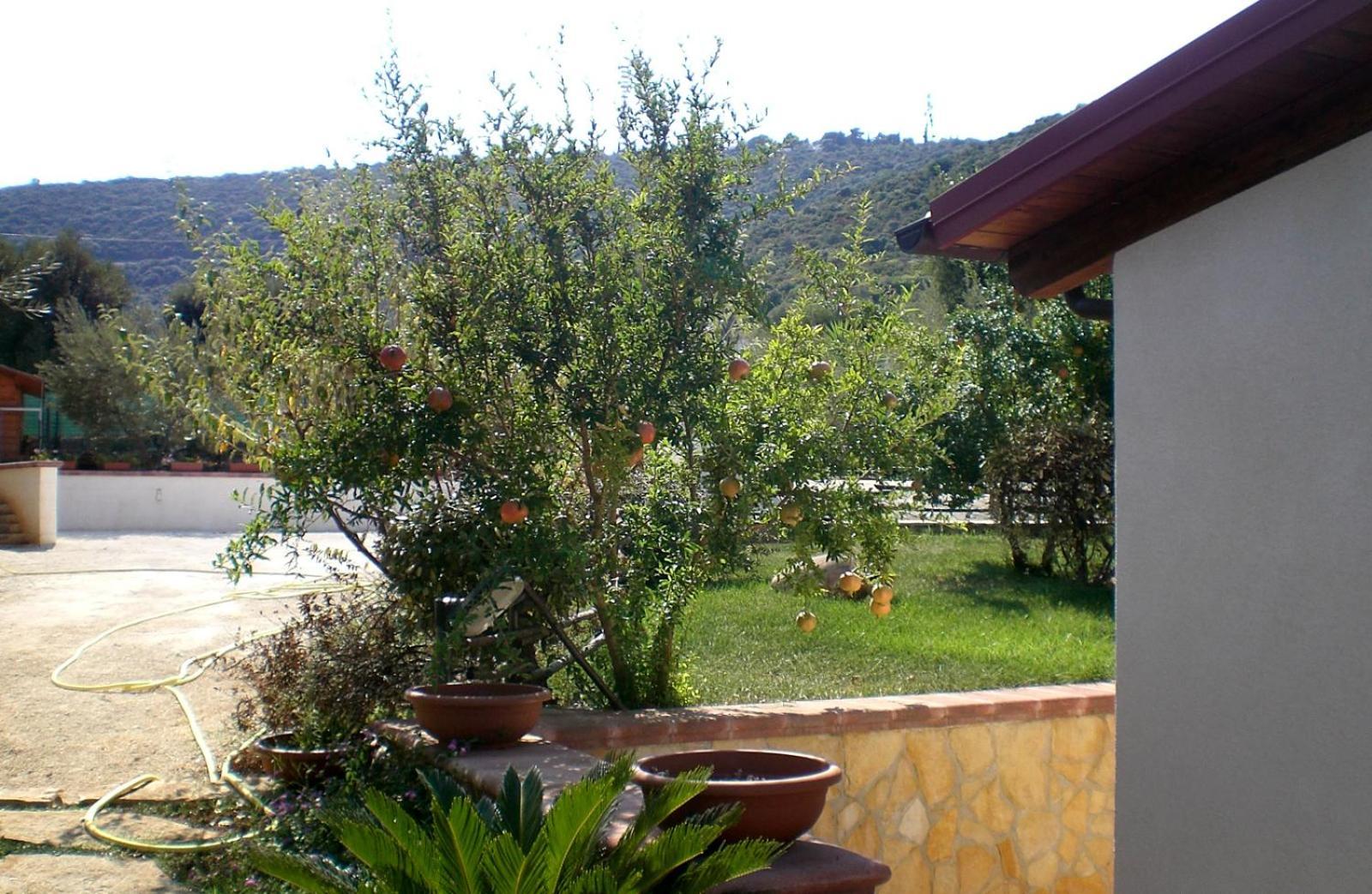 Bed And Breakfast La Casetta Monopoli Bagian luar foto