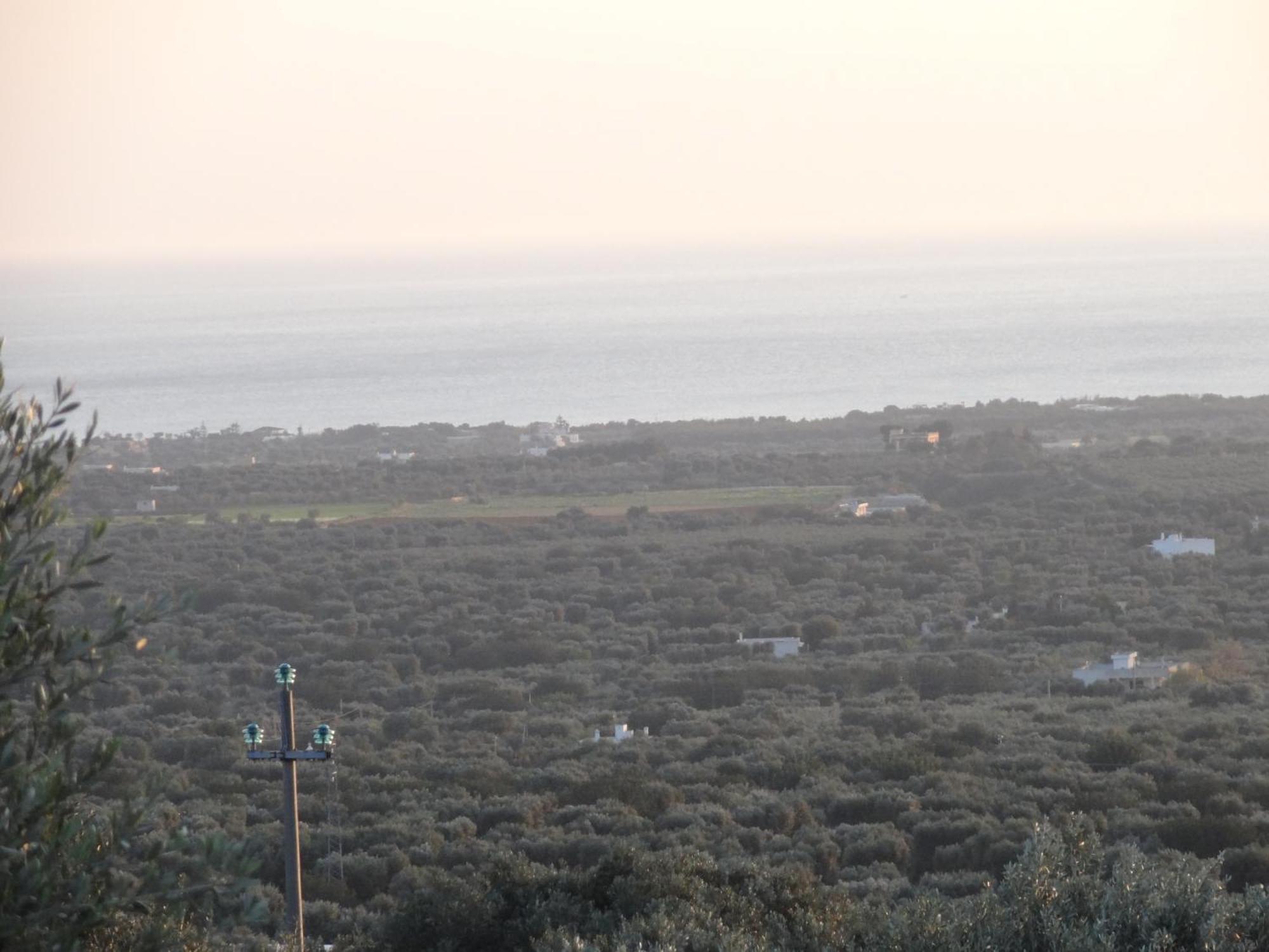 Bed And Breakfast La Casetta Monopoli Bagian luar foto