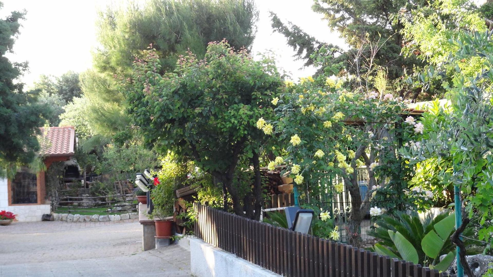 Bed And Breakfast La Casetta Monopoli Bagian luar foto