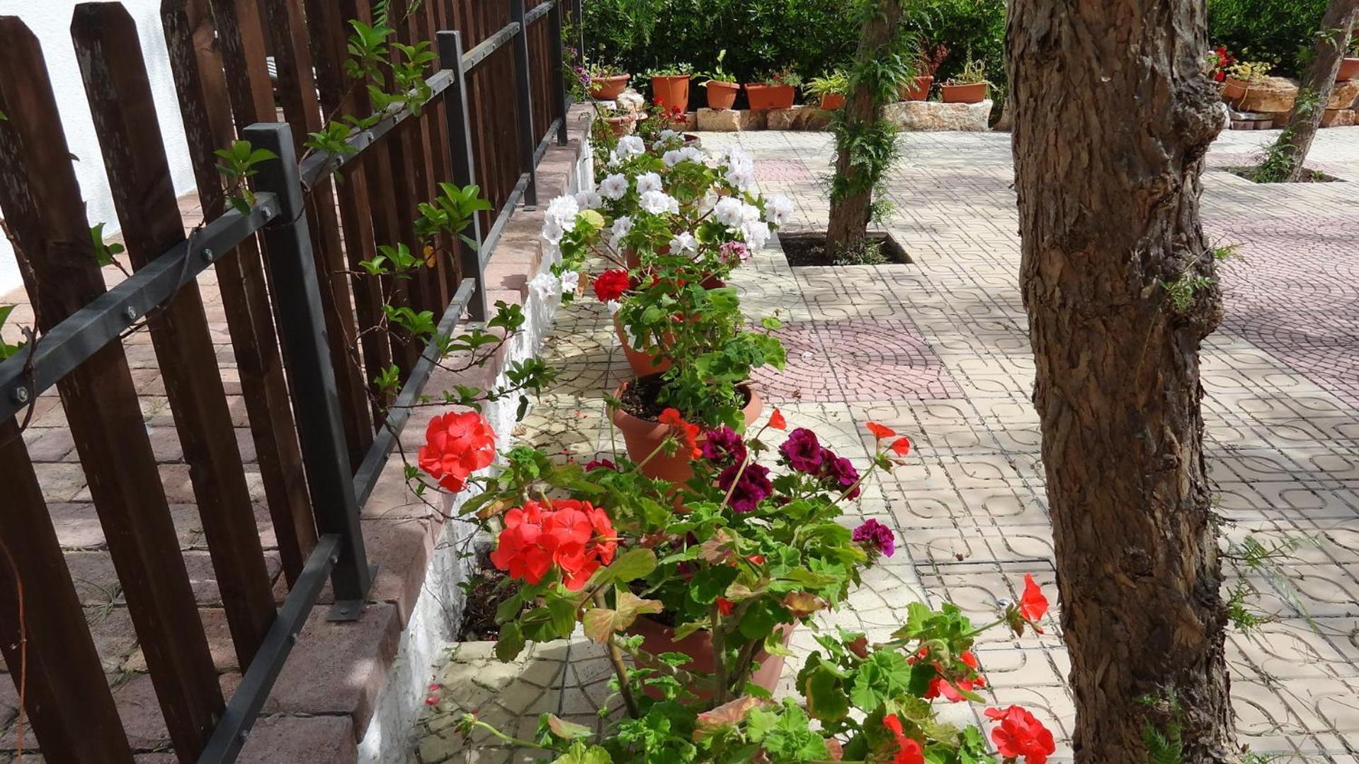 Bed And Breakfast La Casetta Monopoli Bagian luar foto