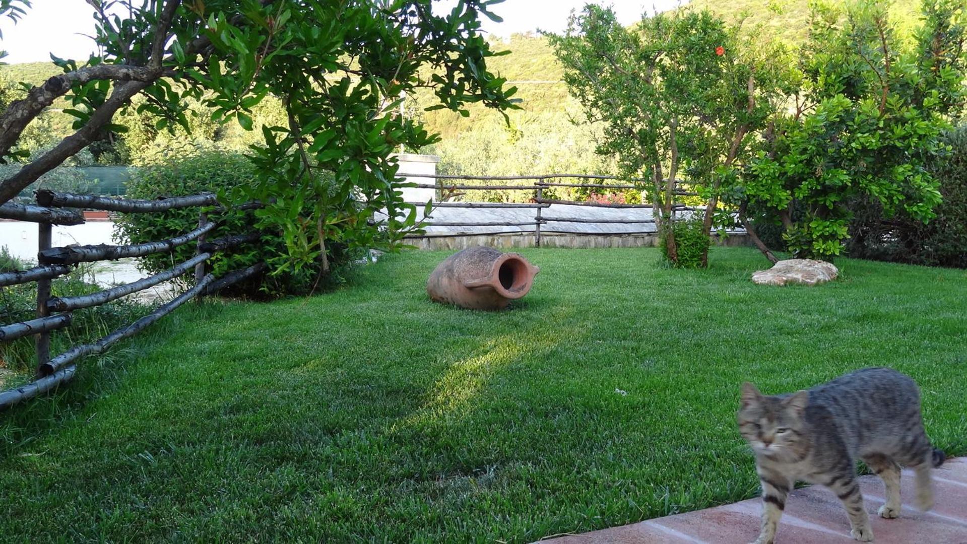 Bed And Breakfast La Casetta Monopoli Bagian luar foto