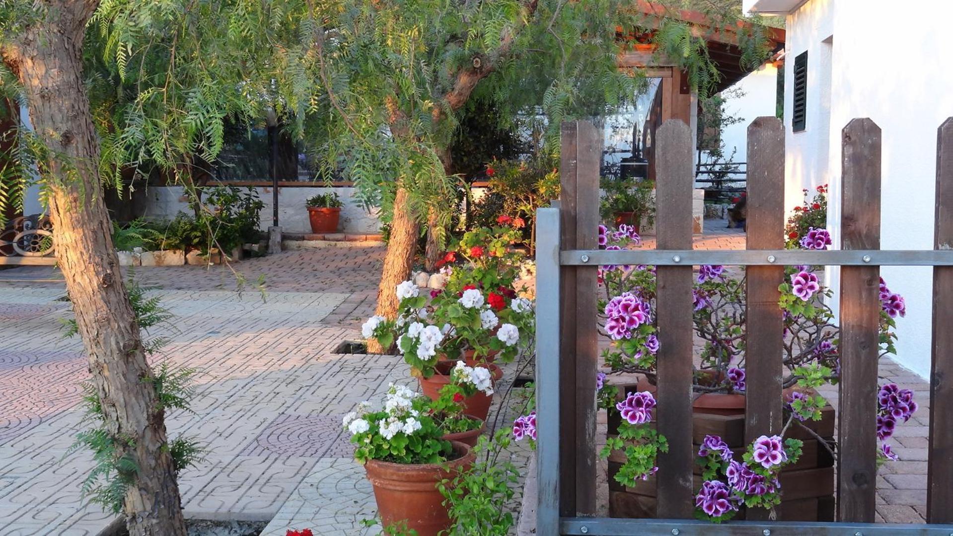 Bed And Breakfast La Casetta Monopoli Bagian luar foto